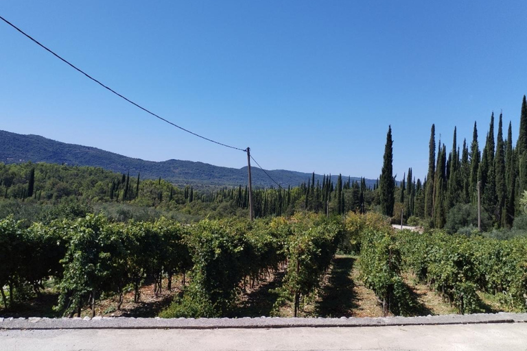 Dubrovnik: Brajković Winery and Ljuta River Tour with …