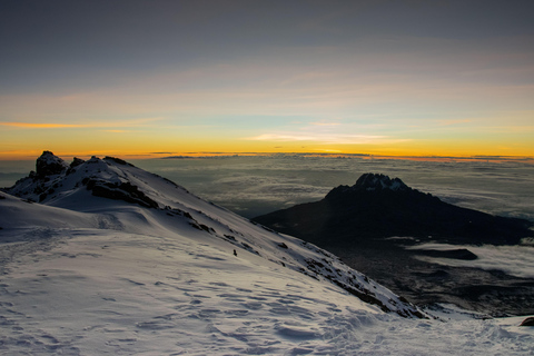 Arusha: Mount Kilimanjaro Day Trekking Experience Marangu Route Day Hike