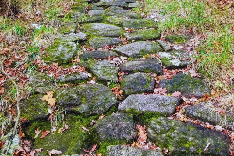 Expeditie Inheemse en voorouderlijke paden in Minca + watervallen + cacao