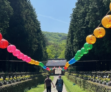Jeju: Highlight Customized Private tour with Expert Guide
