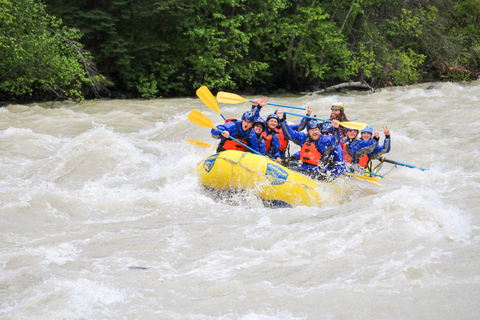 Golden, BC: Kicking Horse River Whitewater Rafting Adventure