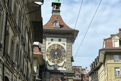 O melhor da Suíça Viagem de 1 dia a Bernese Oberland com teleférico