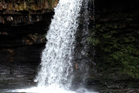 Da Cardiff: Tour a piedi delle cascate di Brecon Beacons