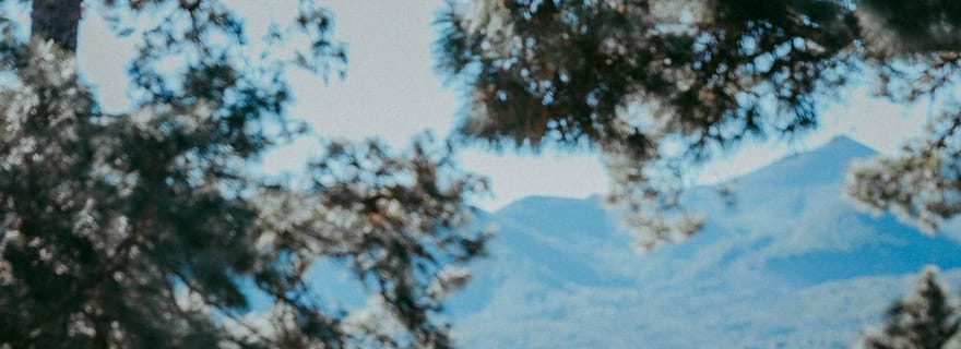 La Palma : séance photo authentique dans un cadre naturel de rêve