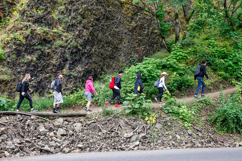 Snoqualmie, Twin Falls & Ancient Forest (Transport Included)