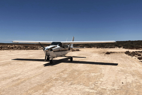 Perth: Scenic Flight to Rottnest Island with Half-Day Visit