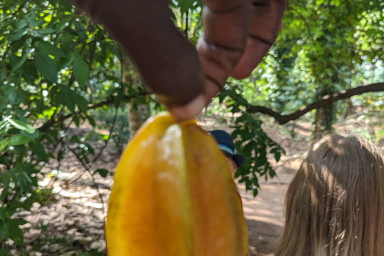 Zanzíbar: Excursión Privada al Bosque y Granja de Especias de Jozani con Almuerzo
