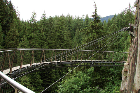 Vancouver: most Capilano, Grouse Mountain i AquabusVancouver: Capilano Bridge, Grouse Mountain &amp; Aquabus Tour