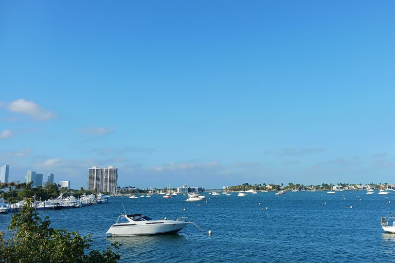 Miami Combo: Everglades Adventure and Sightseeing Tour Combo - Downtown Miami pickup