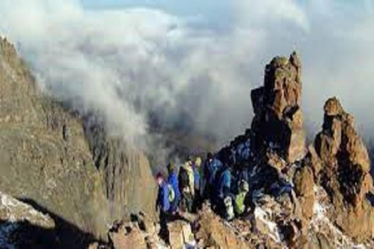 From Nairobi: Mount Kenya Day Tour with Lunch