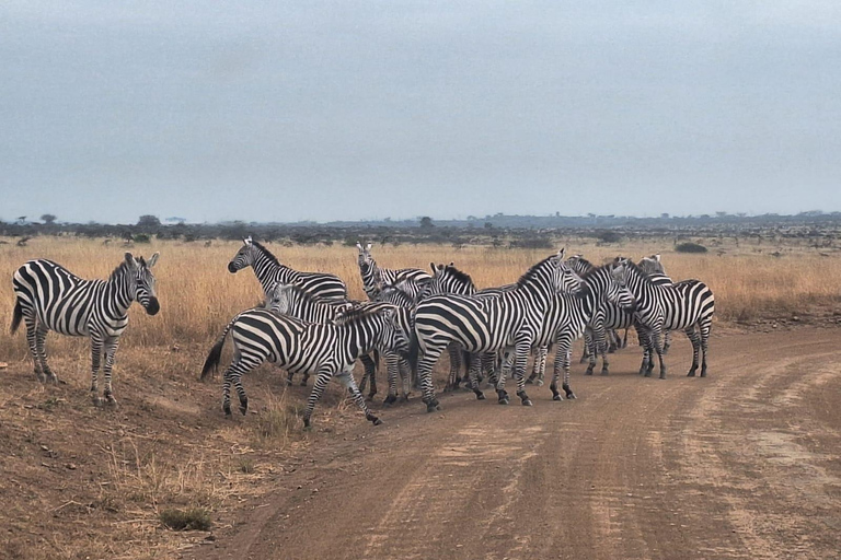 Nairobi NationalPark,Sheldrick Wildlife Trust&Giraffe Center