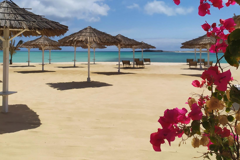 Boa vista: Piękne plaże, żółwie i nurkowanie z rurką na wyspie DjeuPrywatne: Piękne plaże, żółwie + Snorkel wyspa Djeu