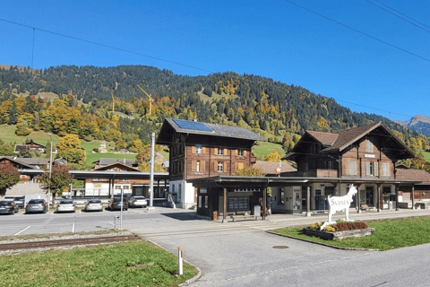 Private DDLJ Bollywood & Swiss Alps Tour from Interlaken Interlaken: DDLJ Bollywood Film Locations Private Day Tour