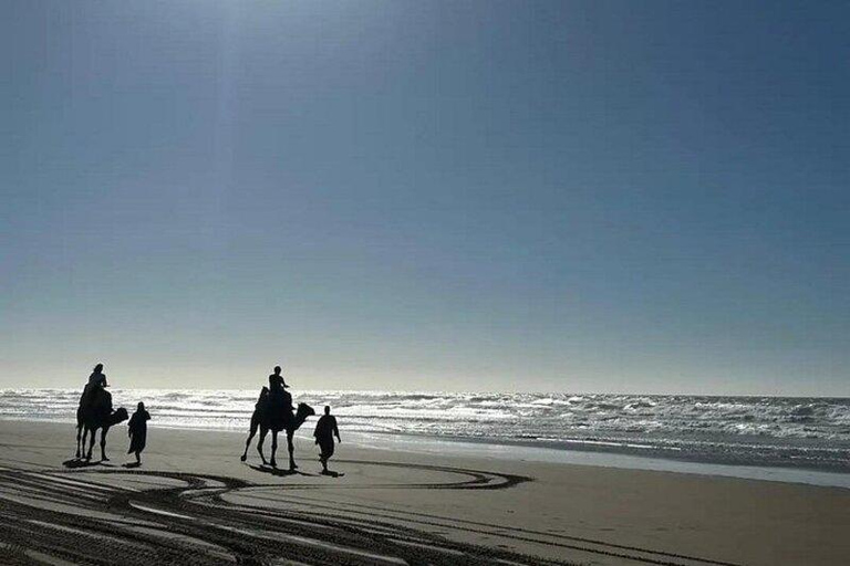 Agadir: Desert & Beach Quad with Sandboard & Camel Option Double Desert & Beach Quad, Sandboard