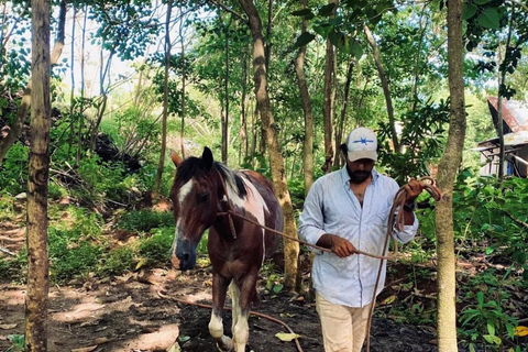 Playa Venao: Horseback Riding Tour