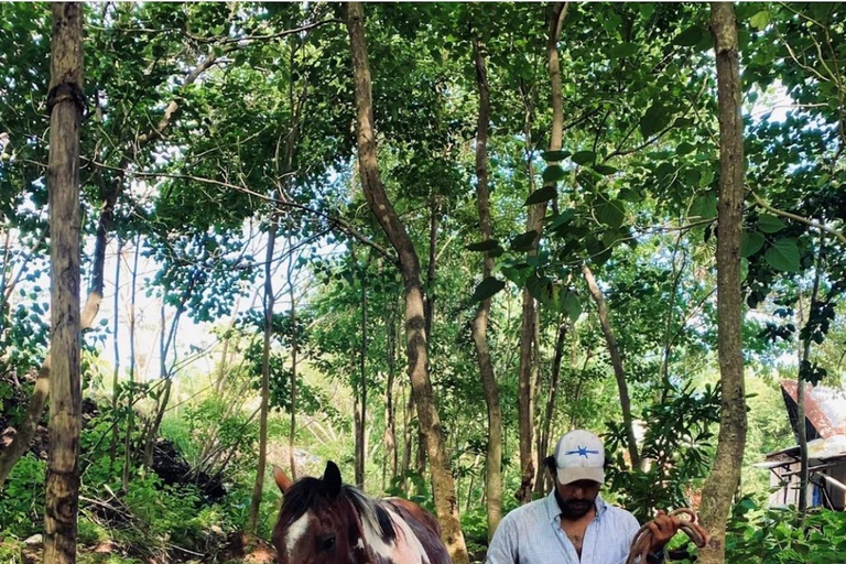 Playa Venao: Horseback Riding Tour