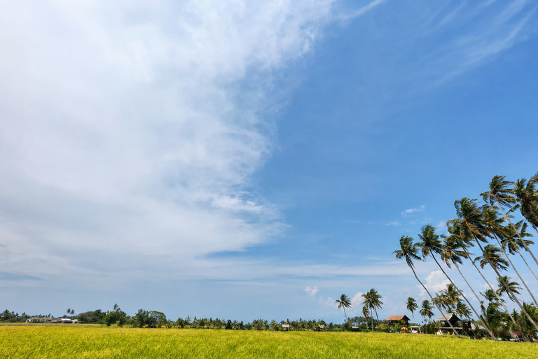 Penang Mainland: 1-Day Trip with Temples, Food & Countryside