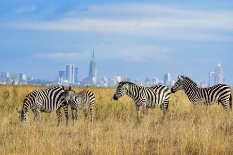 Nairobi National Park: Tour in a 4X4 Van (WiFi Included)Nairobi National Park: Tour in a Safari Van (WiFi Included)