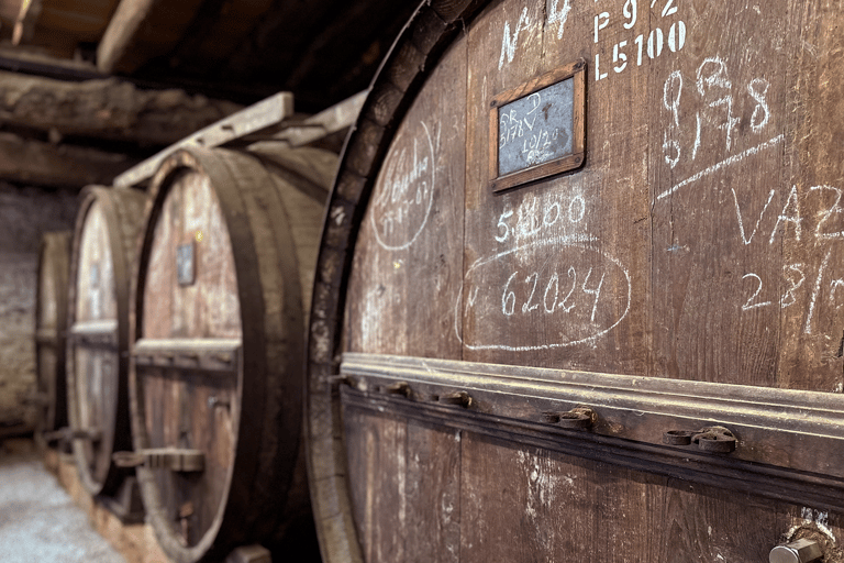 Porto: Esperienza enologica autentica nella Valle del Douro con pranzo