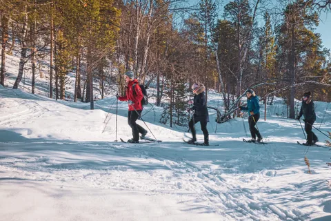 Snowshoeing Adventure to the Enchanting Frozen Waterfall