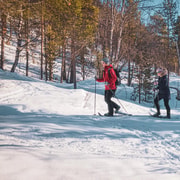 Aventura con raquetas de nieve a la Encantadora Cascada Helada