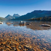 Hobart: 5-Day Tasmania Tour with National Parks & Beaches