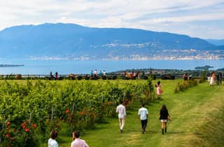 Salò: Verkostung von 4 Valtenesi-Weinen mit lokalen Speisen