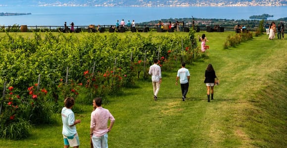 Salò: Tasting of 4 Valtenesi wines with local food