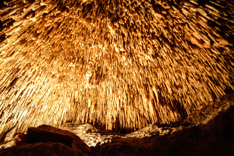 Mallorca: Caves of Drach Tour from the North with Boat TripPalma de Mallorca Meeting Point