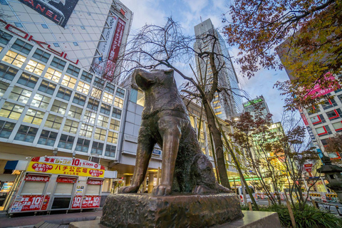 Tokyo: Discover The City Your Way Half-Day Private Sightseeing Ride in Tokyo