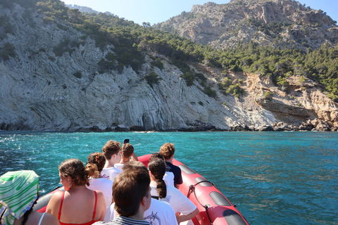 Alcudia: sightseeing, zeegrotten en snorkelavontuur per boot3 uur durende speedboottocht - grotten, snorkelen en sightseeing