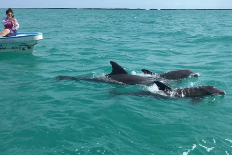 Sian Ka&#039;anExcursión desde Cancún