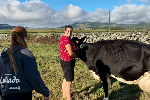 Isla Terceira: Experiencia en la Ruta de la Leche y el Queso