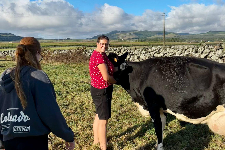 Isla Terceira: Experiencia en la Ruta de la Leche y el Queso