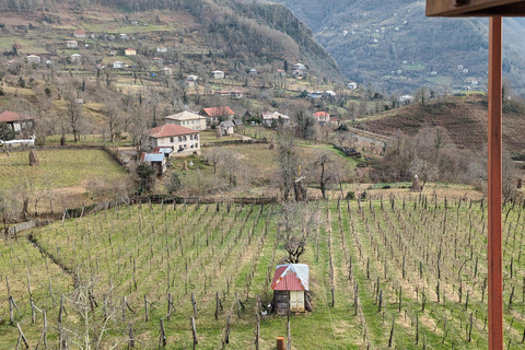 Gonio Makhuntseti Chute d'eau Famille locale Dégustation de vinMakhuntseti