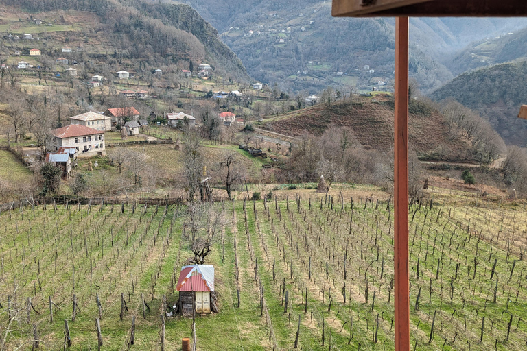 Gonio Makhuntseti Waterfall Local family Wine degustation Makhuntseti