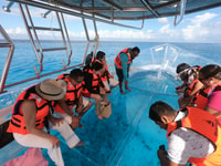 Aventura invisible de buceo en bote en Cozumel - Housity
