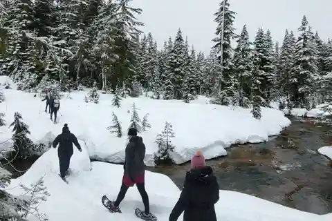Vancouver Island Snowshoeing and Sauna Tour