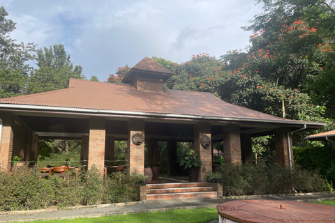 أروشا: التراث الثقافي، جولة تنزانيا