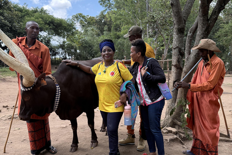 Nyanza: King's Palace Museum and Inyambo Royal Cows