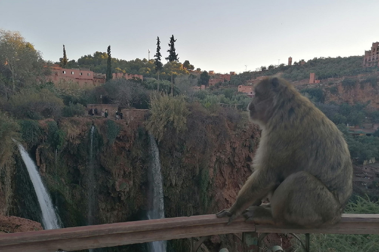 Marrakech to Ouzoud waterfalls day tour - Guide &amp; boat rideOuzoud waterfalls day tour from Marrakech