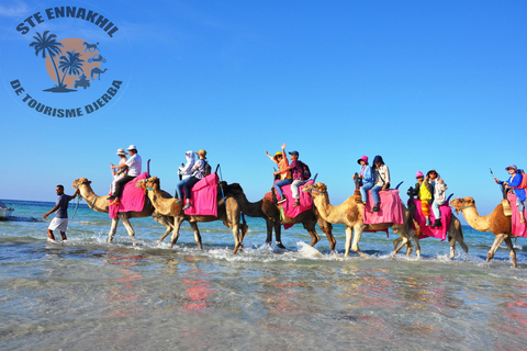 Djerba - en kamelritt Kamelridning till den blå lagunen vid solnedgången