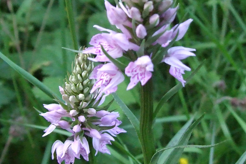 卡特琳湖电动自行车之旅