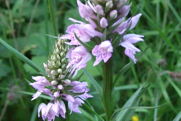 卡特琳湖电动自行车之旅