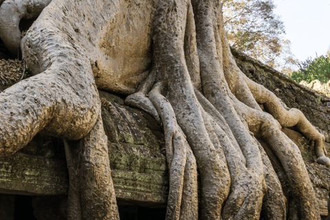 Privat soluppgång Angkor Wat-turPrivat soluppgång Angkor Wat-tur med tysk reseledare