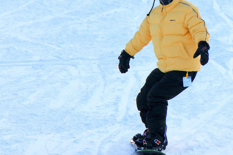 Seoul: Elysian Ski Resort & Eobi Ice Valley Depart from Hongik Univ. Station Exit 4