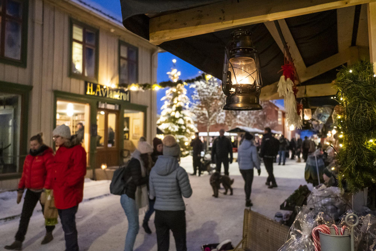متحف مايهاوجين/المتحف الأولمبي النرويجي، ليلهامر.