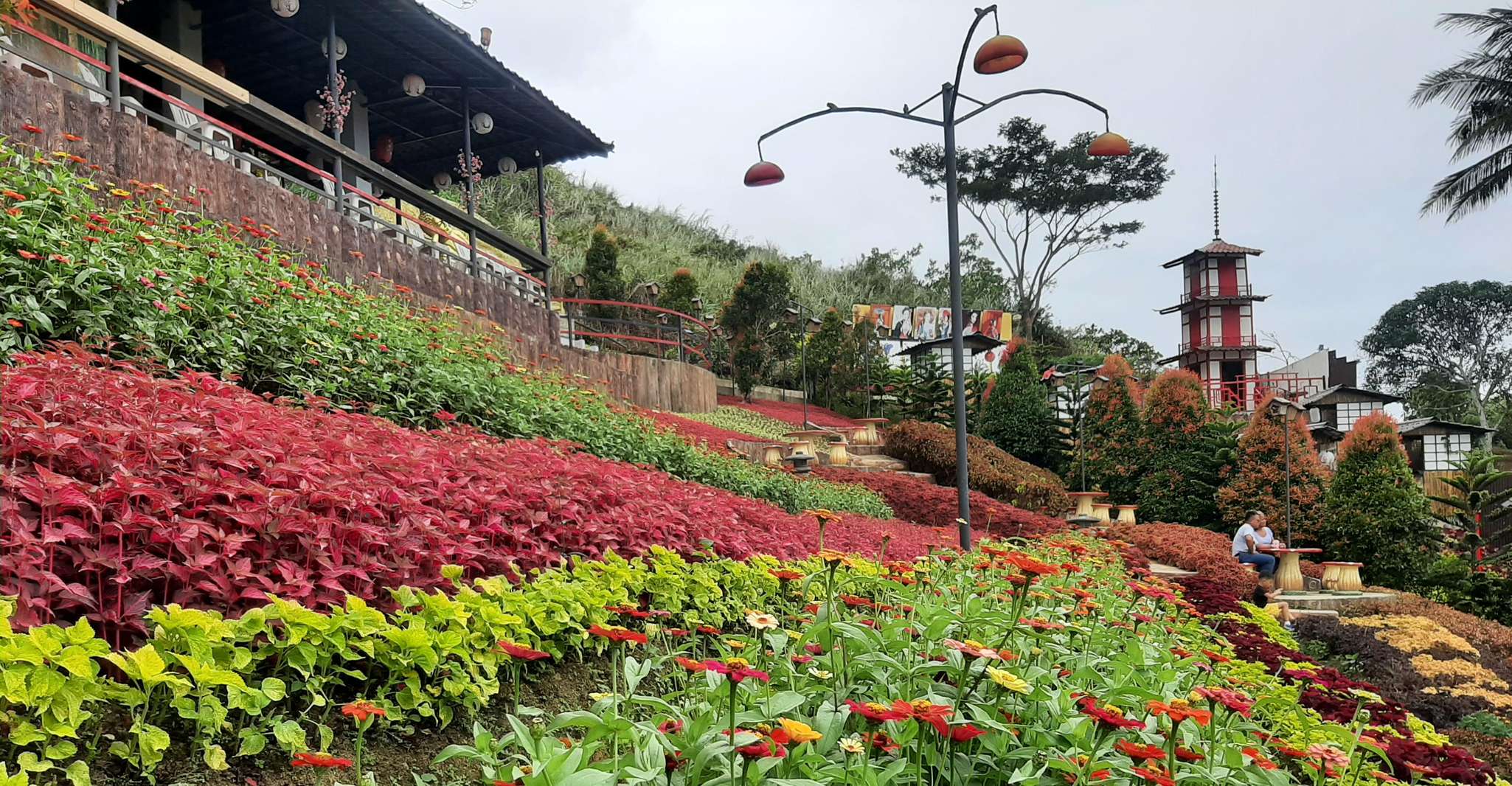 Cebu, Cultural Gems Guided Tour with 10,000 Roses - Housity