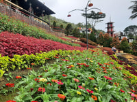 CEBU, Cultural Gems Visite guidée avec 10 000 roses - Housity