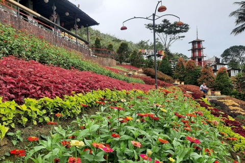 Cebu: Cultural Gems Guided Tour with 10,000 Roses